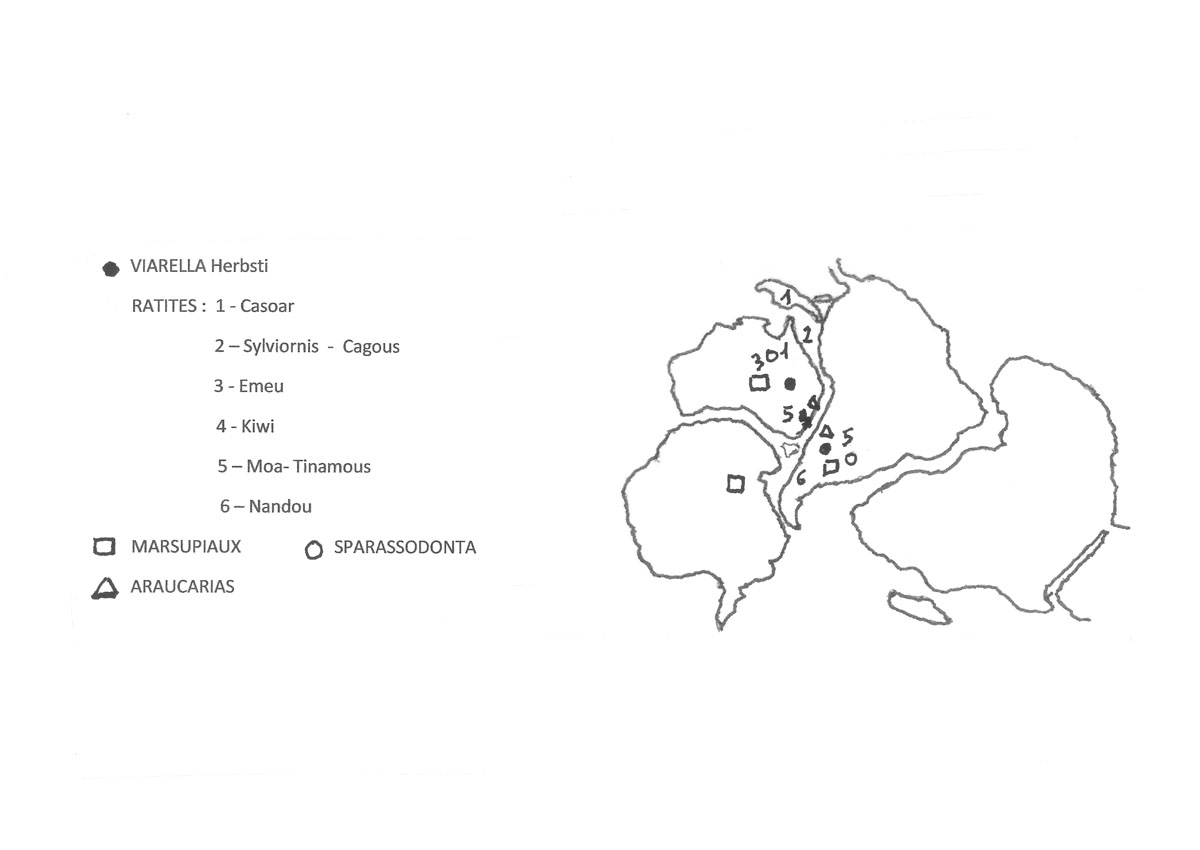 Carte de localisation des « témoins paléontologiques » dans la nouvelle représentation du Gondwana