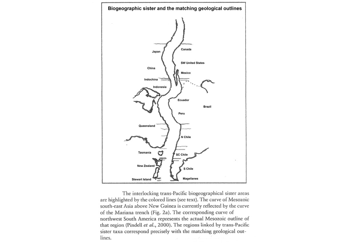 « Les zones soeurs » biogéographiques et l’assemblage des contours géologiques Trans-Pacifique
